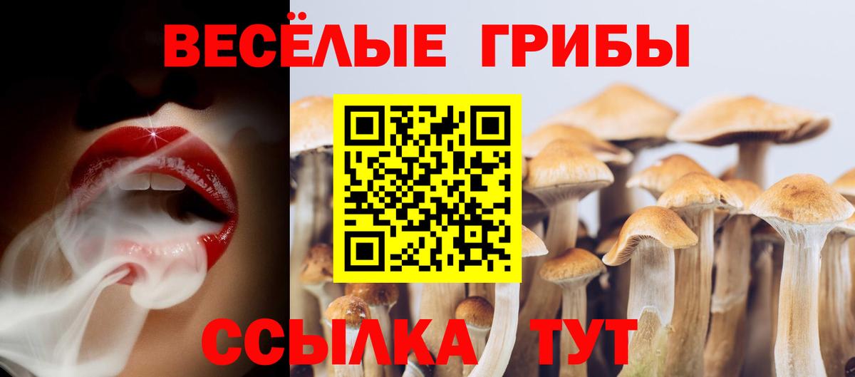 Псилоцибиновые грибы мухоморы Новороссийск