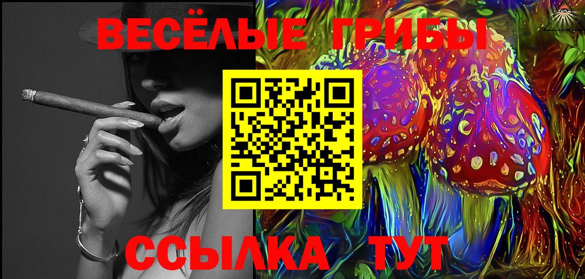 Новороссийск  Галлюциногенные грибы мицелий  дарнет шоп  Вход с VPN 